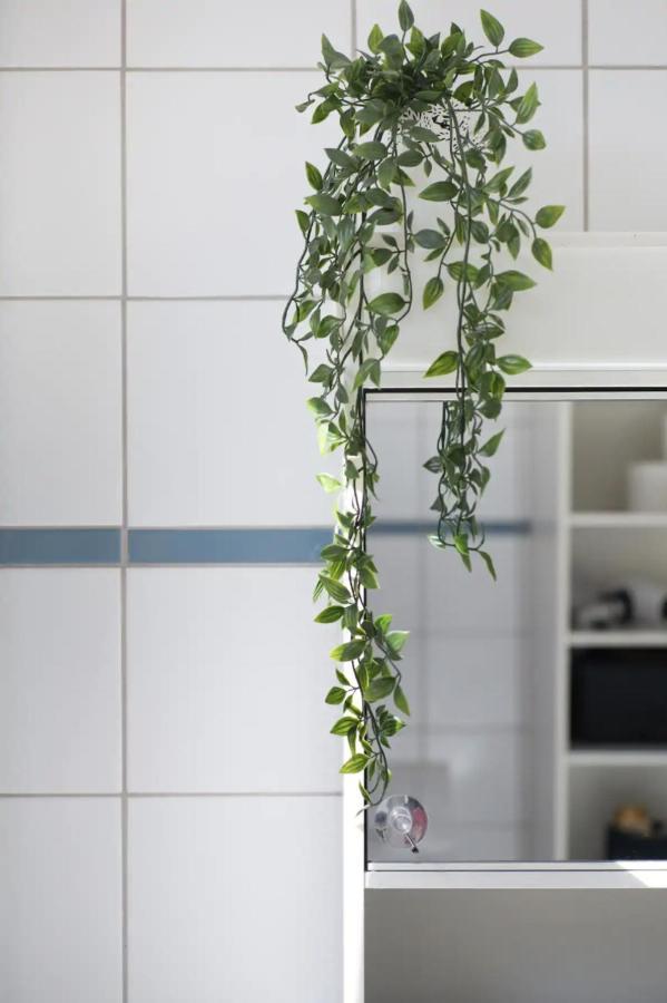Privatunterkunft Zwei Im Jugendstilhaus Mit Garten Bern